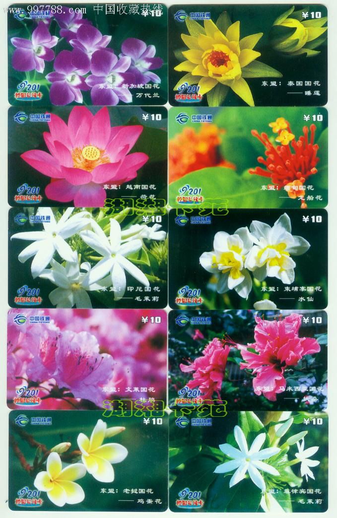 东盟国家--国花,10全,南宁铁通,lzctt-xych-2009-06_价格10.