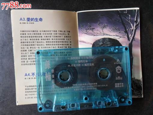 孙楠--你快回来_磁带\/卡带_日升昌