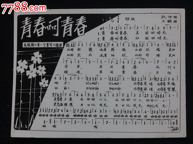 老歌片:青春啊青春!-价格:5元-se25662178-老照