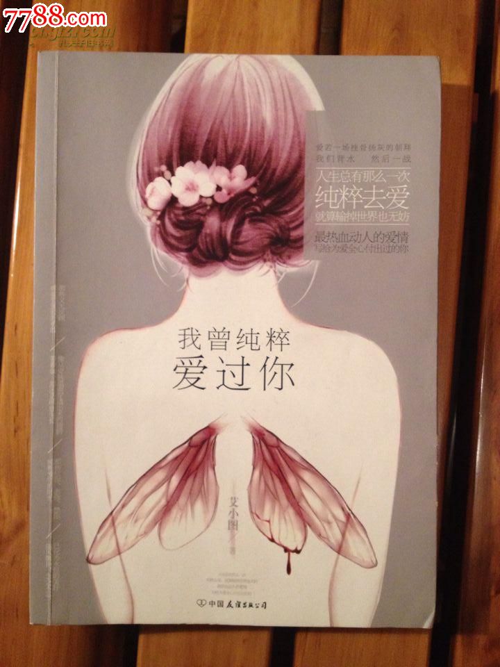 我曾纯粹爱过你,小说\/传记,现代小说,21世纪10
