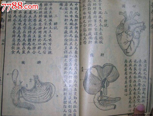 《医学南针》图片