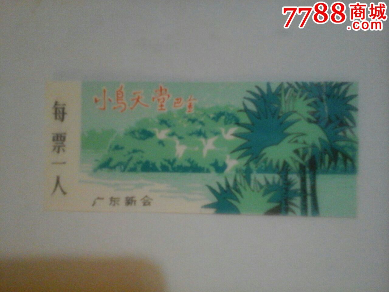 广东新会小鸟天堂