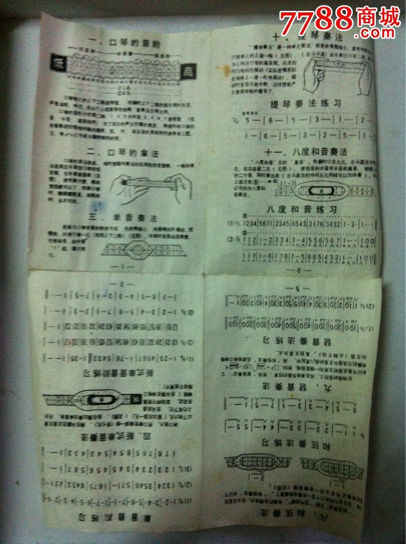 国光,重音口琴