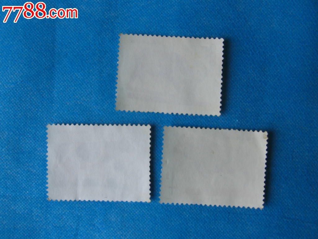 T63畜牧业-牛3枚_新中国邮票_恒通集藏【中国