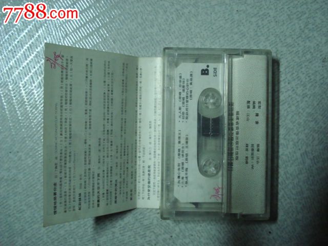 卫视中文台音乐节拍精选\/慢慢的陪着你走\/港台