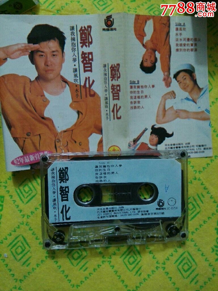 郑智化