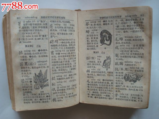 《新华字典》[1962年版,重庆一印],字典\/辞典,现