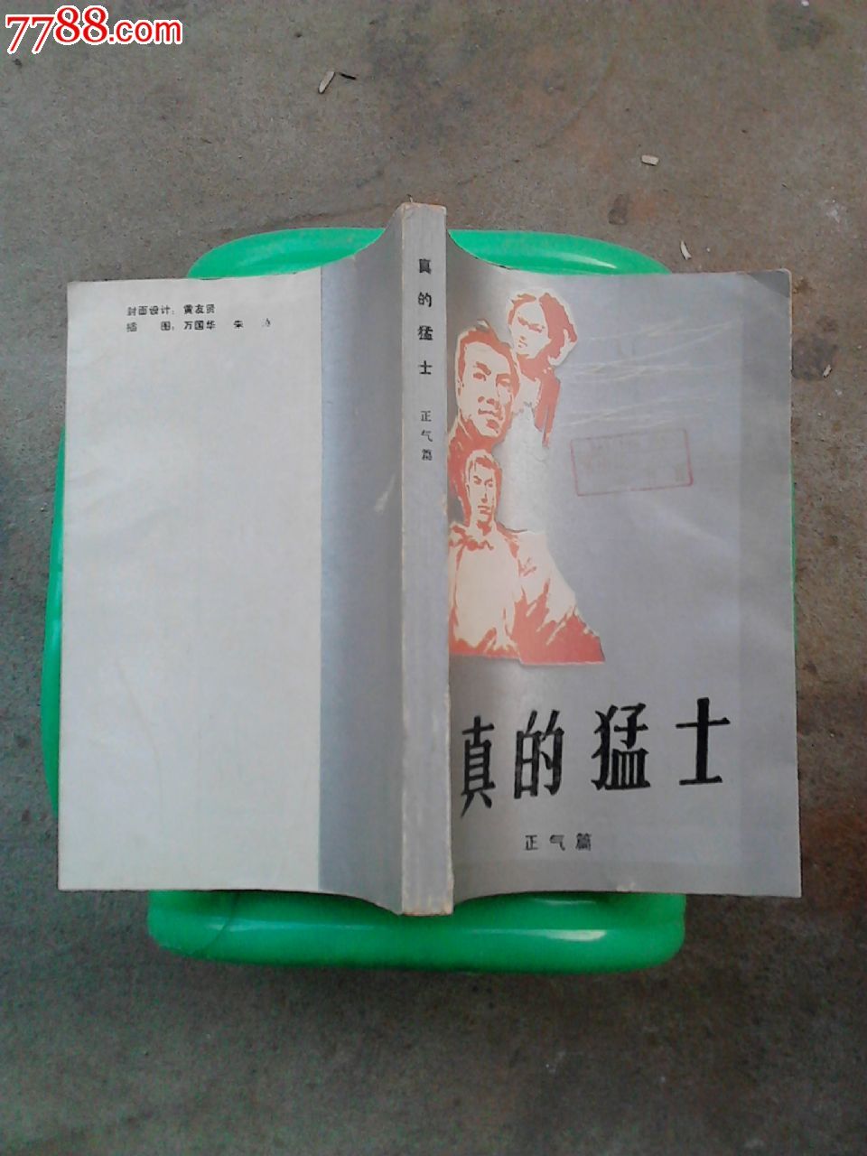 真的猛士-se27892182-7788书籍收藏