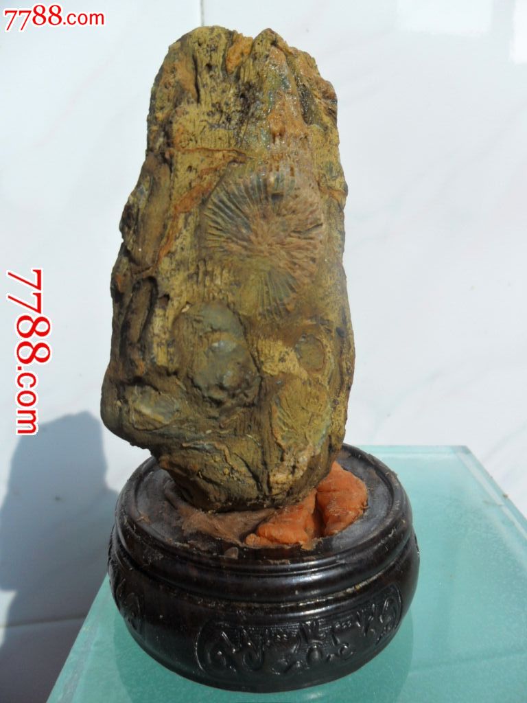 化石(200g)