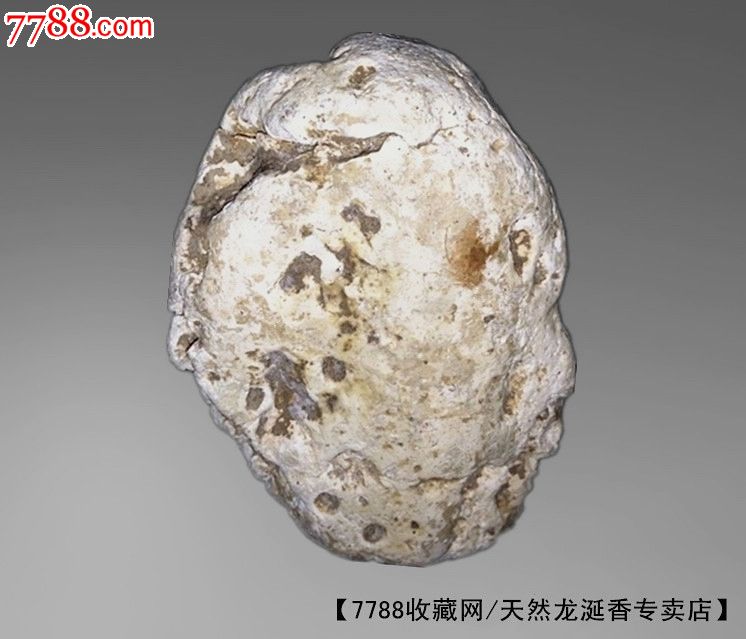【精品】天然龙涎香原料/ambergris