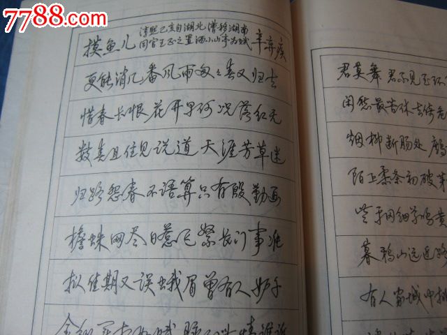 钢笔字写法及多体字帖(著名书法家:陈英群著)