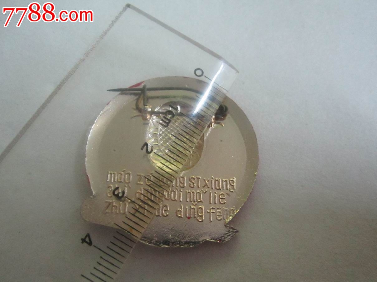 汉语拼音.毛泽东思想是当代马列主义的顶峰,毛