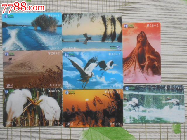 宁夏网通--8全_IP卡\/密码卡_小白爱好