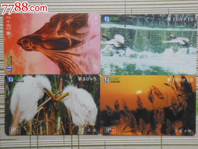 宁夏网通--8全_IP卡\/密码卡_小白爱好