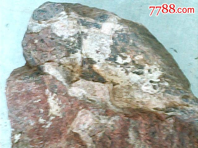 奇石;红底黑纹间白花25厘米*21厘米*10厘米重