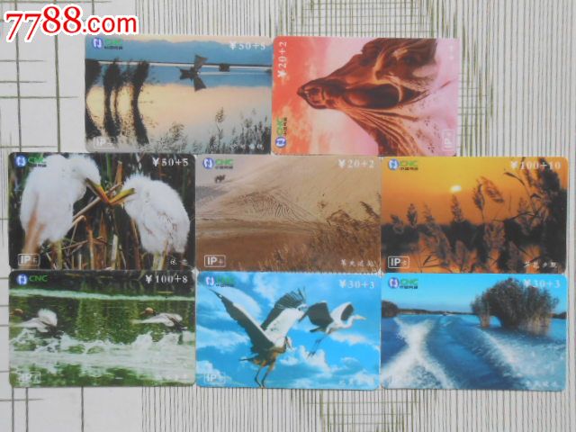 宁夏网通--8全-价格:6元-se29880047-IP卡\/密码