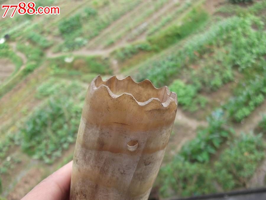 一个用嘴吹的大口哨~不清楚是什么角做的-价格