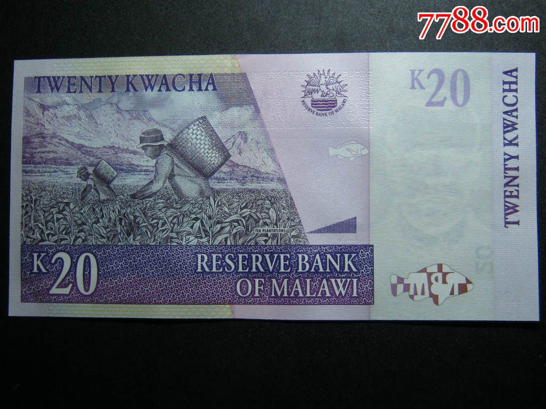 马拉维20克瓦查 全新UNC外国钱币-价格:3元-s