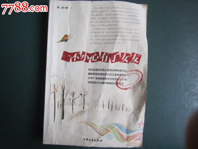 <em>一不小心有了女友</em>_新版书籍_放光芒集藏【77