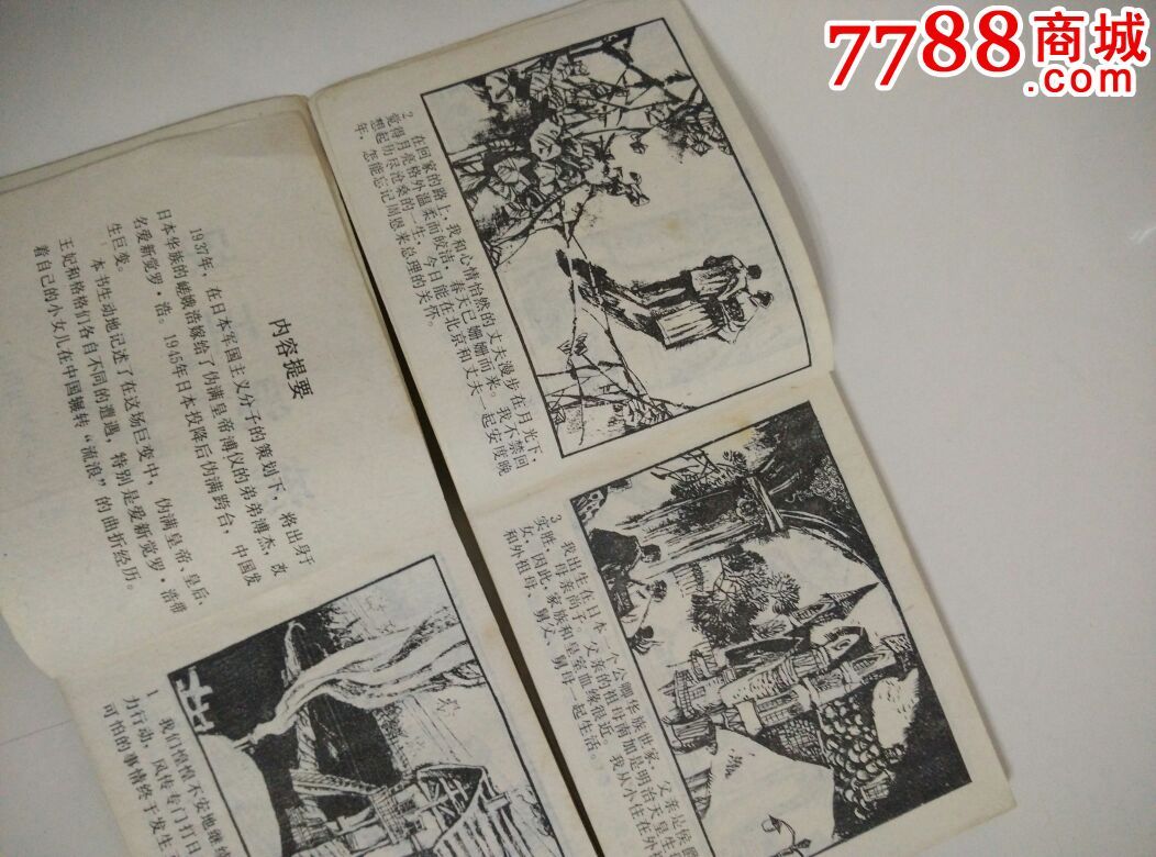 流浪王妃-上下册-价格:40元-se30569854-连环