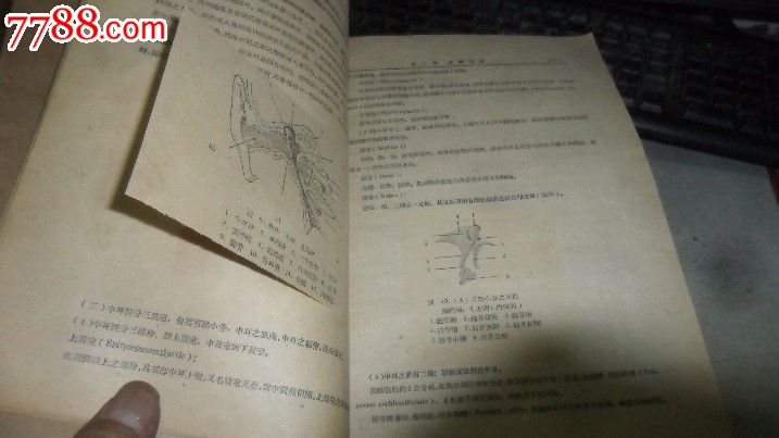 山东大学医学院本科教材耳鼻咽喉科学【1954