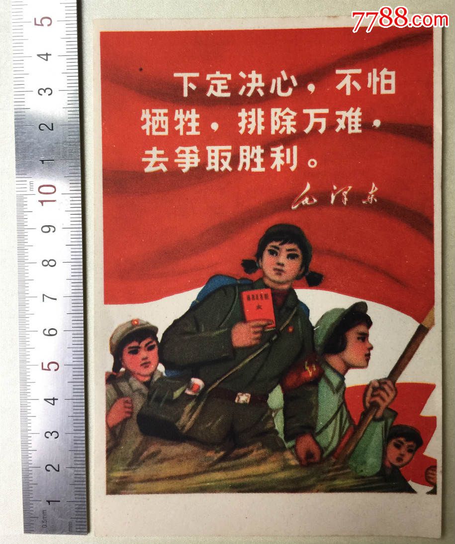 下定决心,不怕牺牲, 排除万难 ,去争取胜利-se30