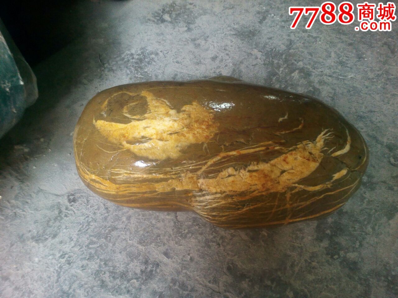 长江石《孝天犬寻万年人参》-se30846057-七