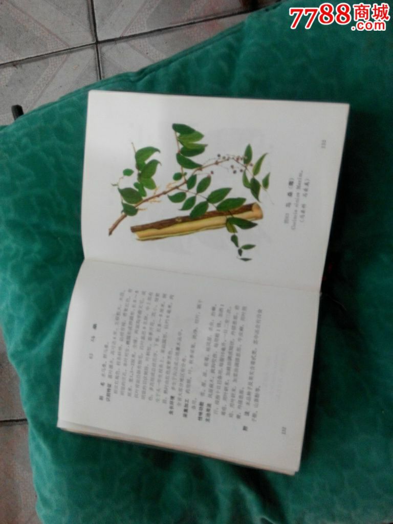 彩图云南中草药选