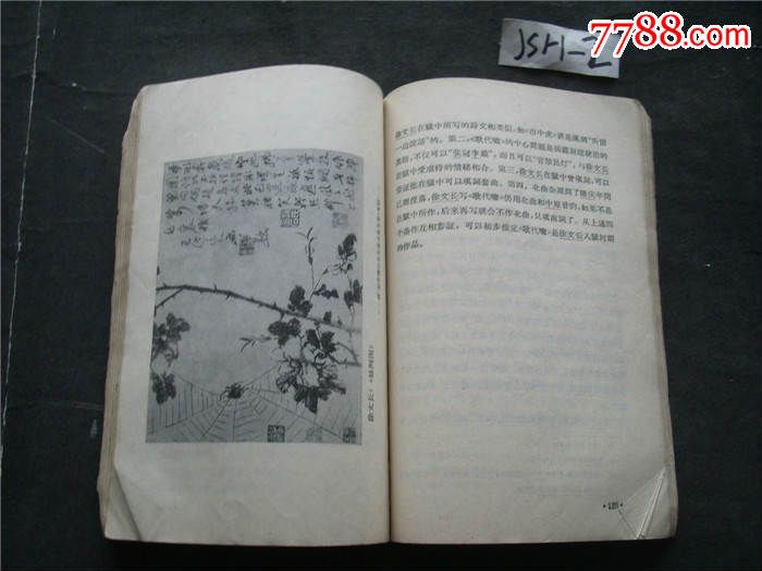 {作文徐文长人物赏析}.