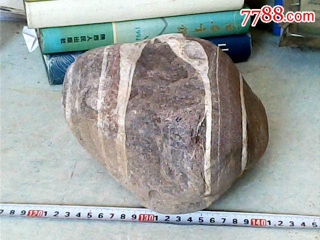 天然奇石摆件;剑鱼25厘米*20厘米*12厘米重17市斤