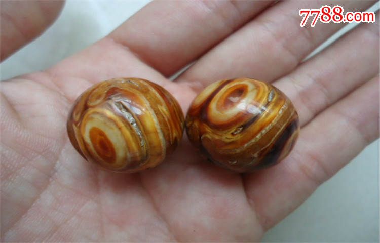 远古化石老鹤天珠一对-动植物化石--se320537