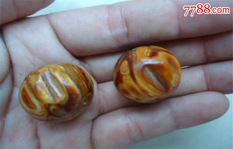 远古化石老鹤天珠一对-动植物化石-7788商城_