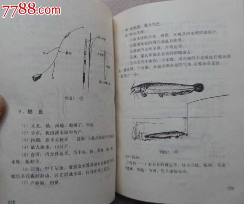 钓鱼图解手册-价格:5元-se32146668-其他文字
