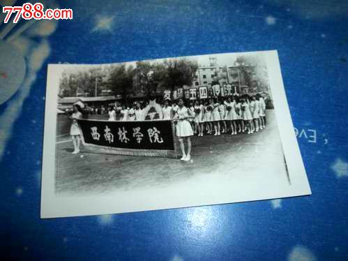 西南林学院争做五讲四美传统接受检32》-价格