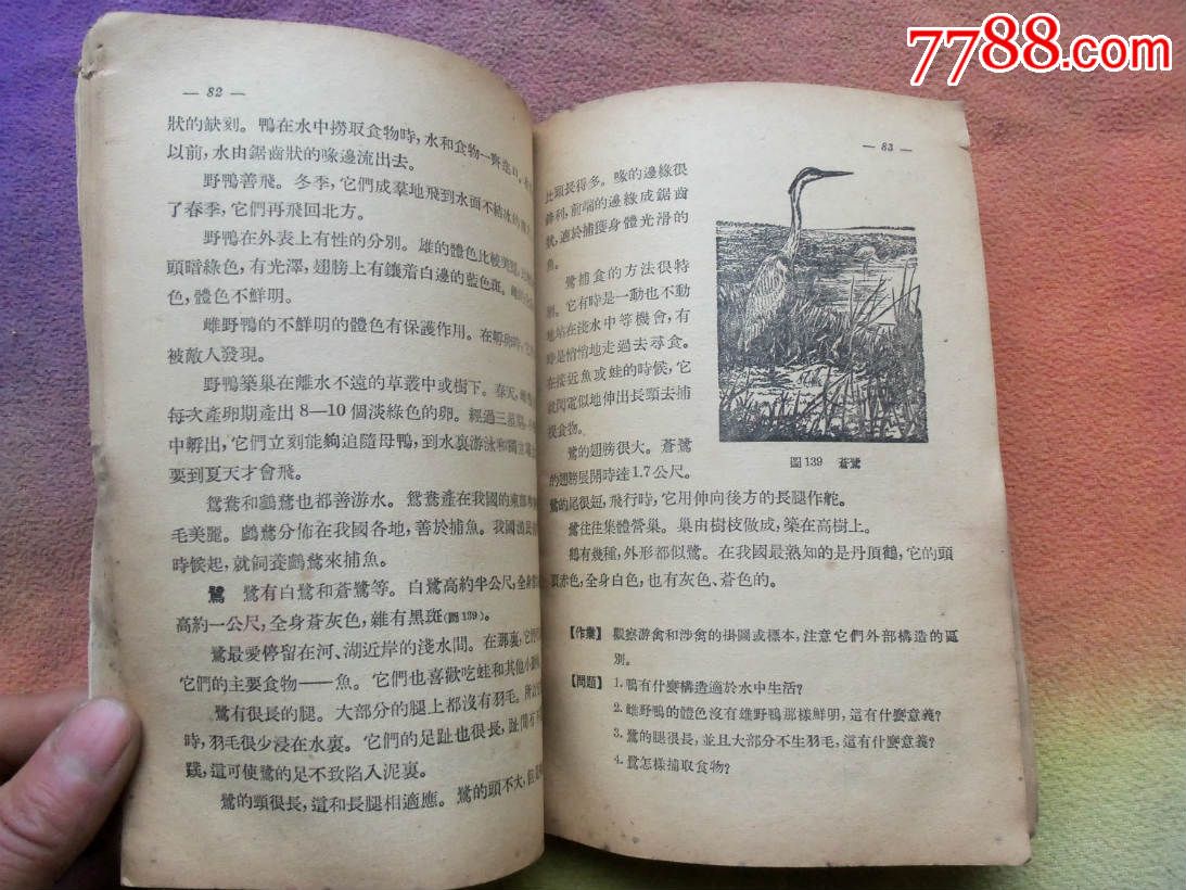全4306,动物学、1952年北京初版,课本\/教材,初
