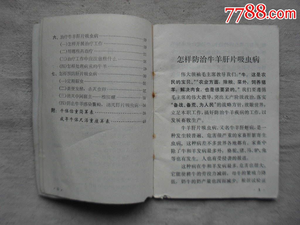 怎样防治牛羊肝片吸虫病