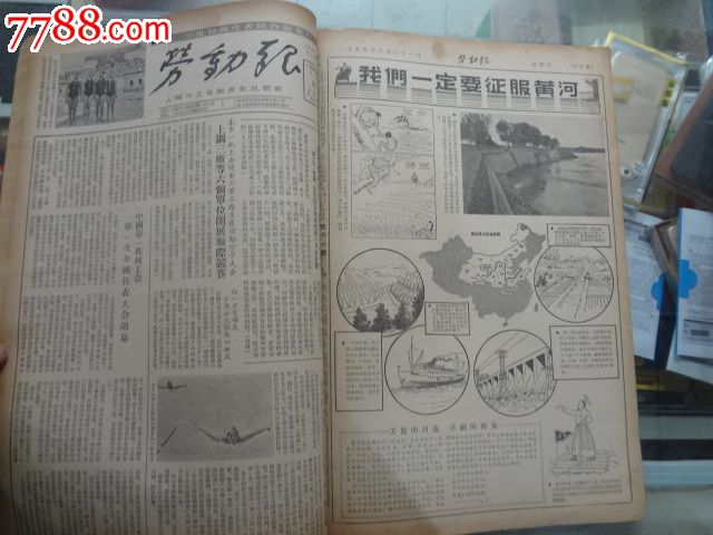 劳动报【1955年8月合订本】