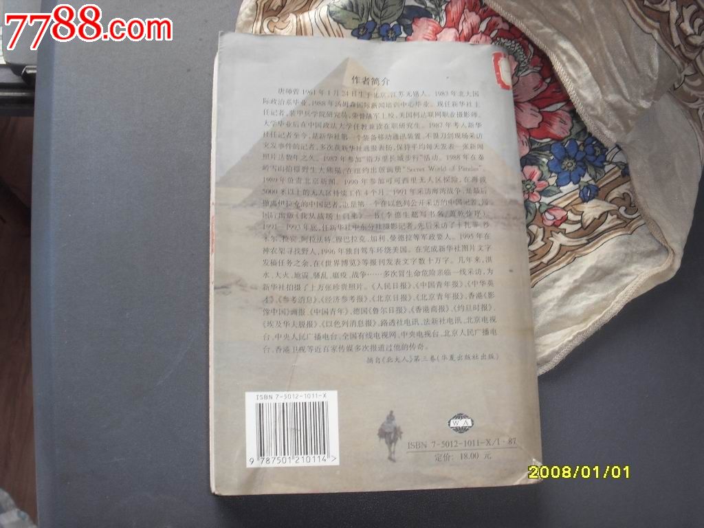 我钻进了金字塔-价格:15元-se35123517-小说\/