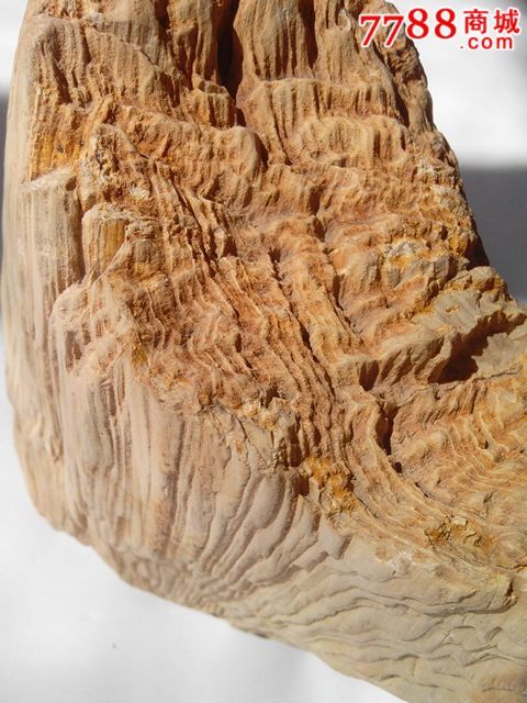 精品木化石