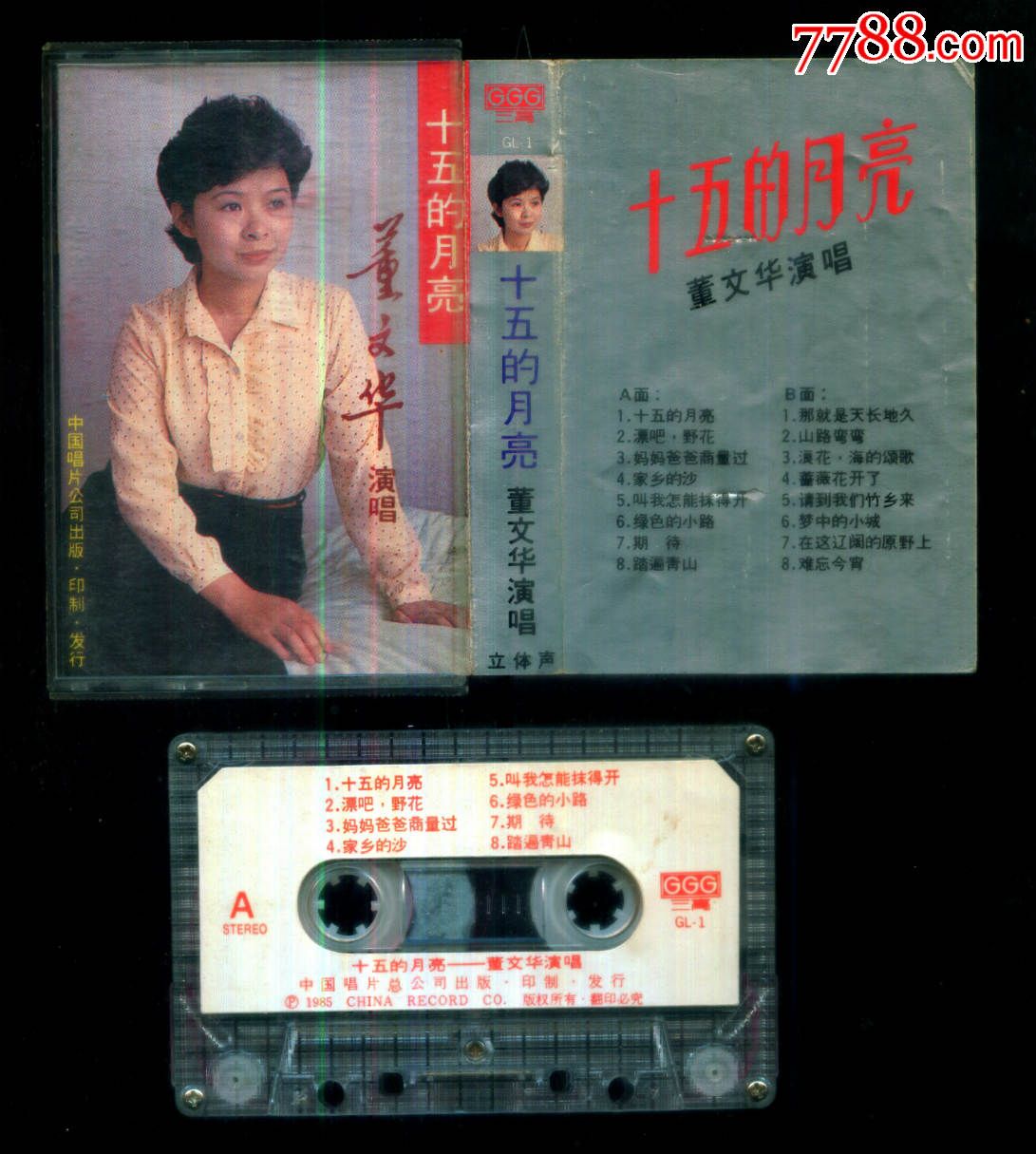 十五的月亮【演唱:董文华】
