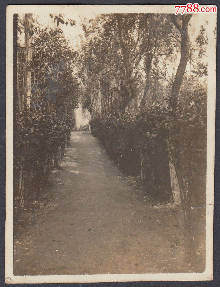 民国老照片,云南华亭寺风景,后有"温情"的备注,1934年