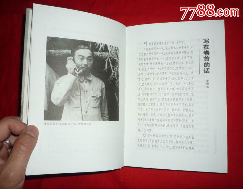 抗日名将叶佩高,曹英哲著