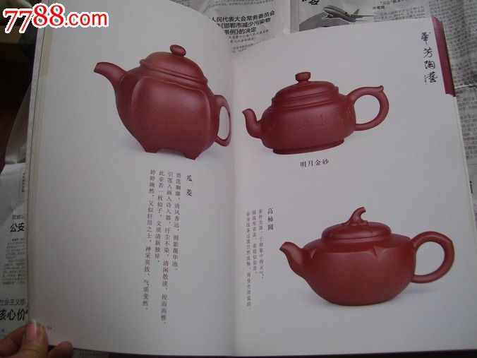 华芳陶艺:紫砂壶名家作品