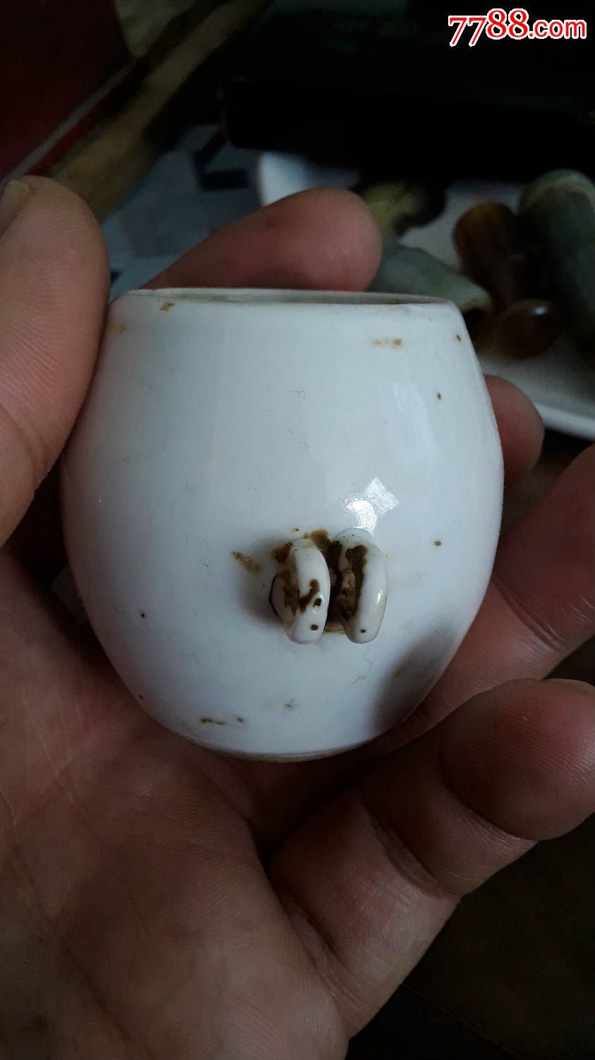 老鸟食罐2