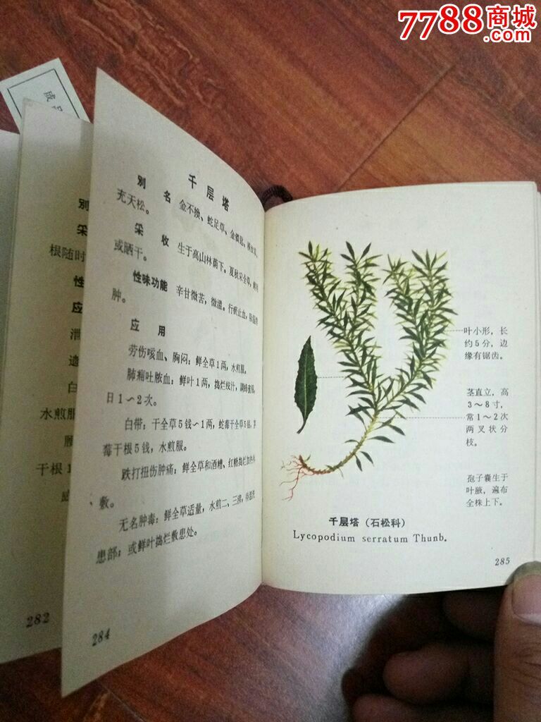 福建中草药第一册_医书/药书_第8张_7788图书