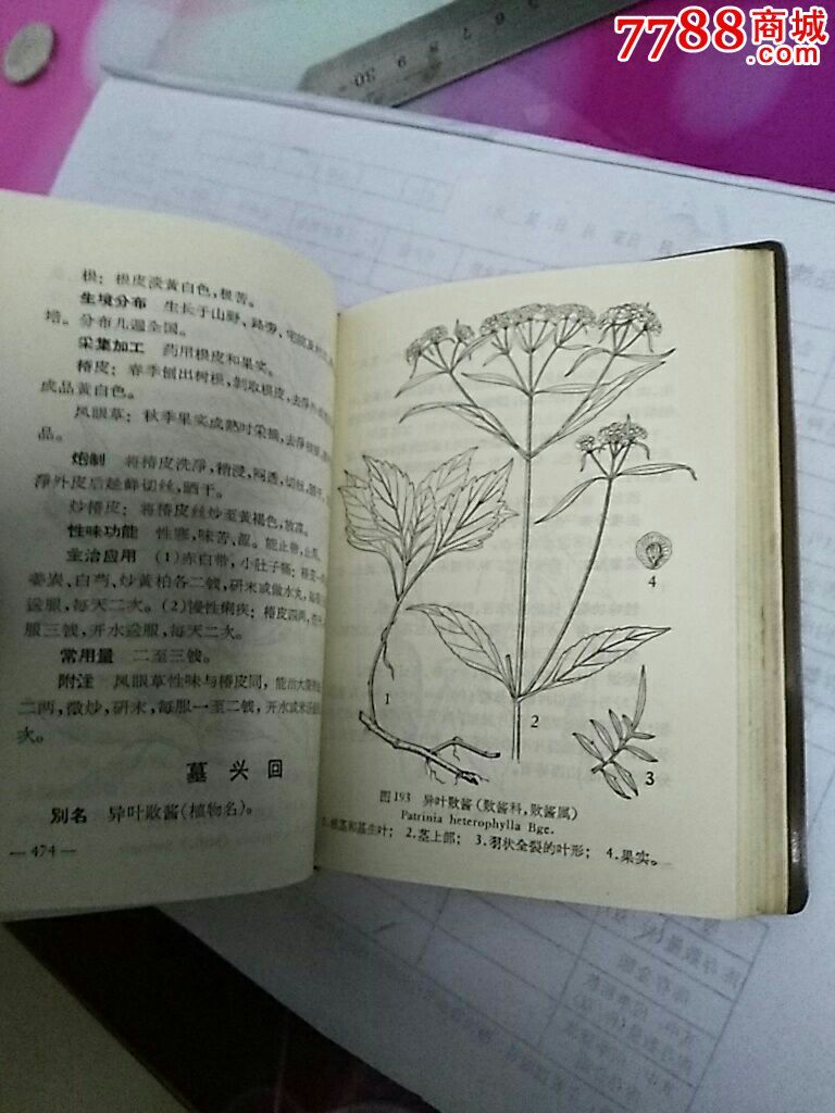 河北中草药手册_医书/药书【居家日子】_第7张_7788图书