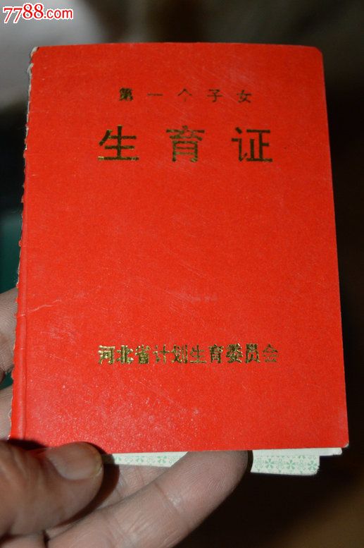 第一个子女生育证