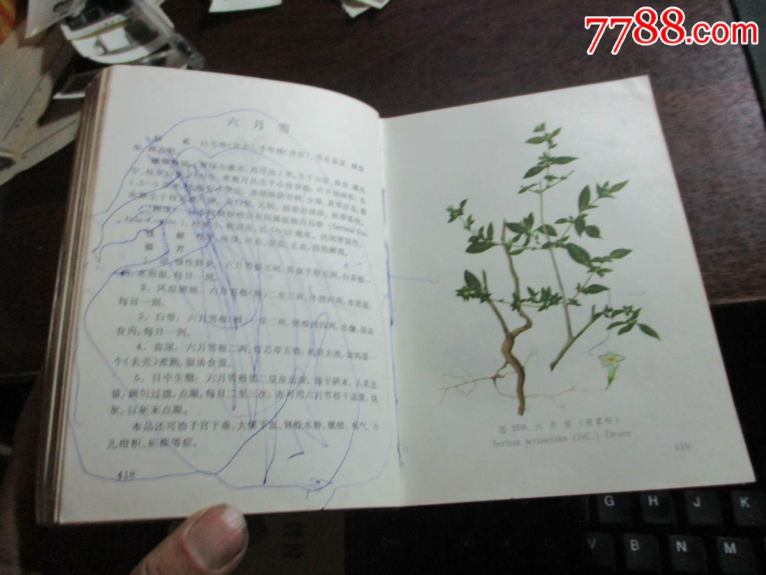 (大本彩色版)江西草药_医书/药书_第8张_7788图书