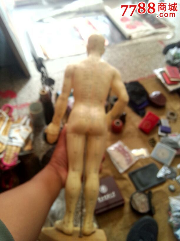 针灸按摩用胶皮人