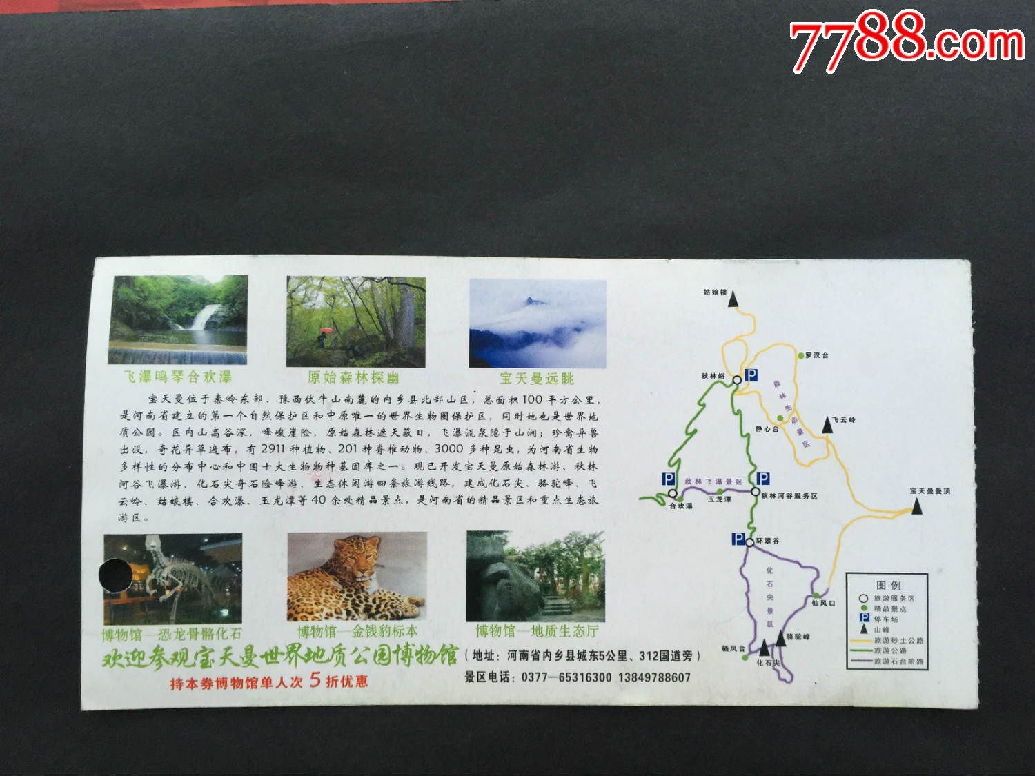 南阳宝天曼生态旅游区